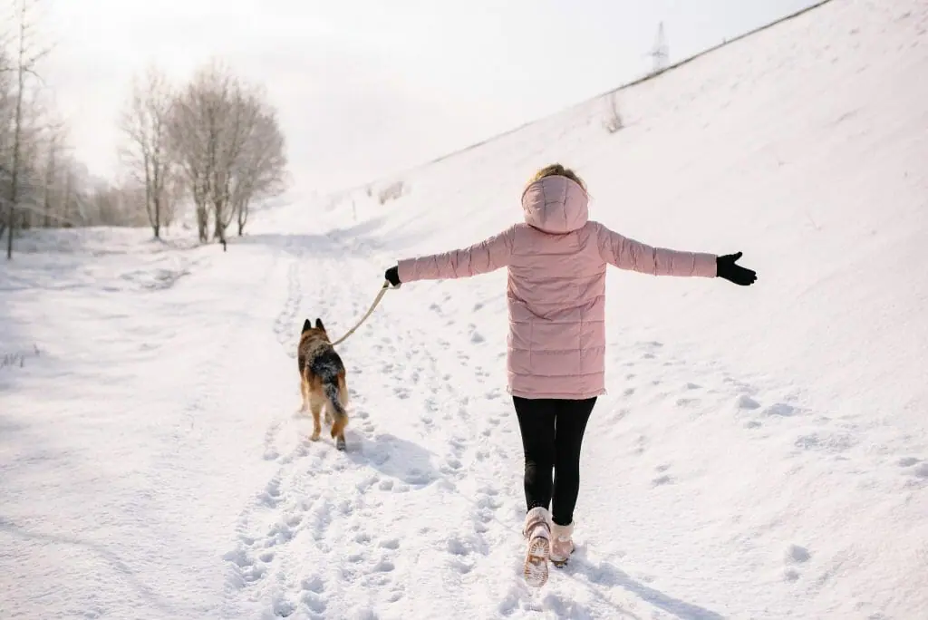 consejos-frio-mascotas-perros-nieve-chaleco (2)