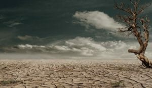 ¿Cuándo es el Día Mundial de lucha contra la desertificación y la sequía y cómo celebrarlo?