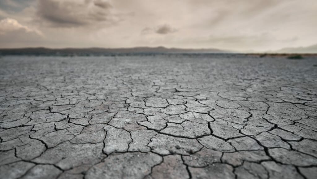 desertificación-y-sequía