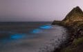 algas bioluminiscentes