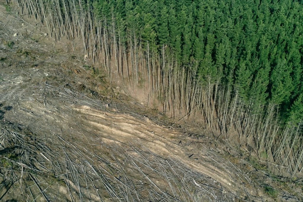 transformación del planeta 