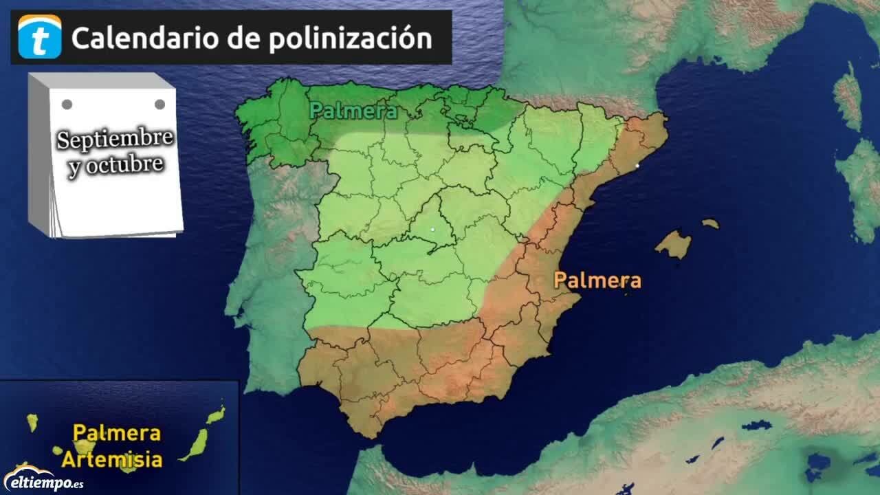 Los tipos de polen más frecuentes