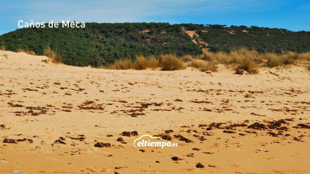 playas de cádiz