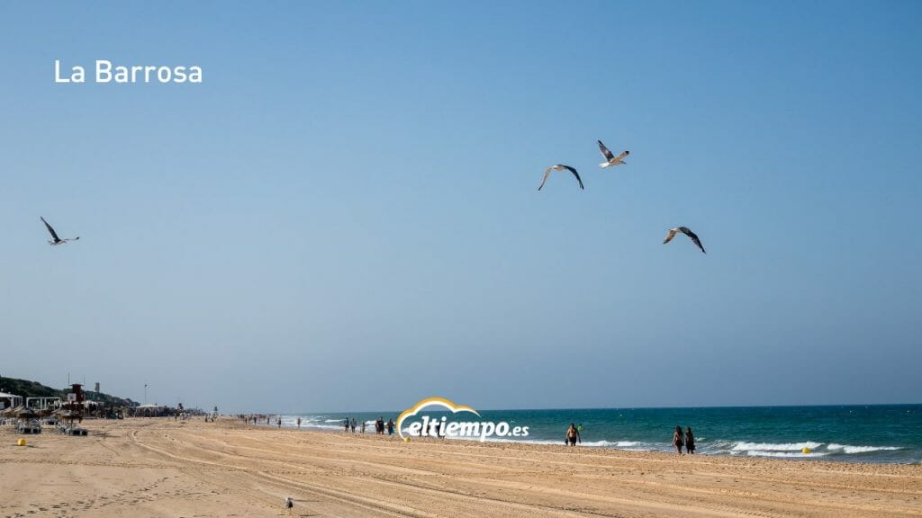 playas de cádiz