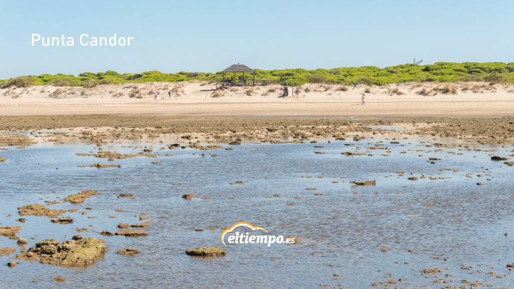 playas de cádiz
