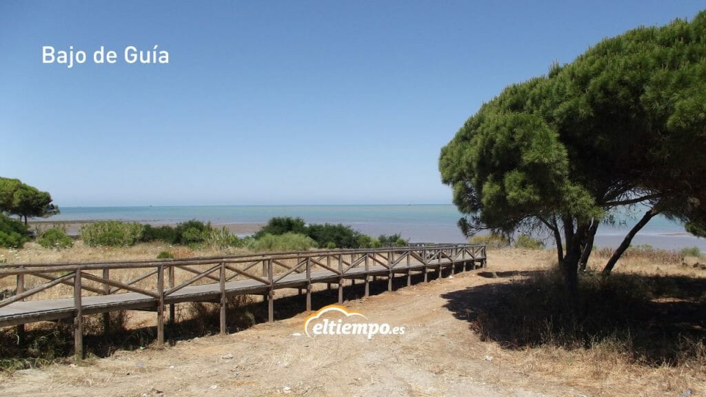 Playa con pasarela y vegetación en Cádiz