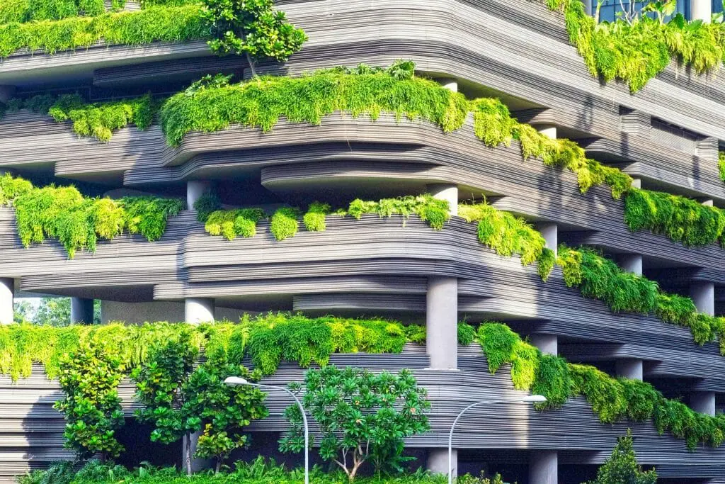 vegetación en las ciudades 