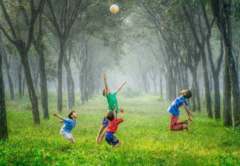 cuatro niños jugando a la pelota en el cesped rodeado de árboles obesidad infantil