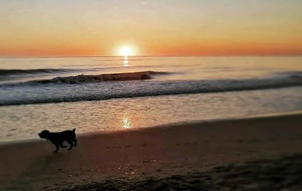 mejores playas Huelva