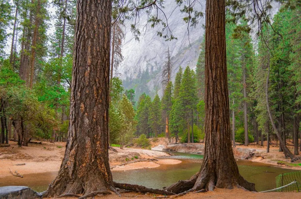 incendio en Yosemite