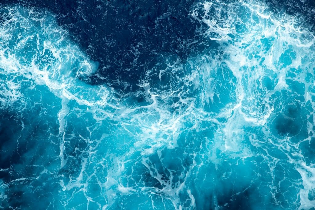 acidificación del mar