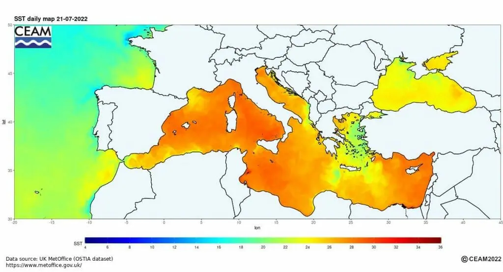 Temperatura de la superficie del mar el 21 de julio de 2022. Fuente: CEAM