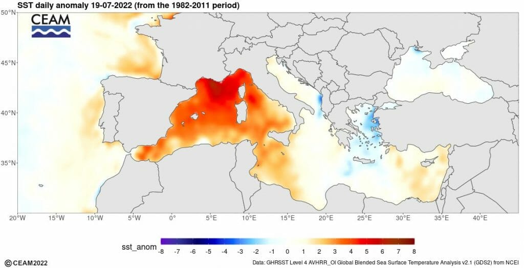 Anomalía de la temperatura de la superficie del mar el 19 de julio de 2022. Fuente: CEAM