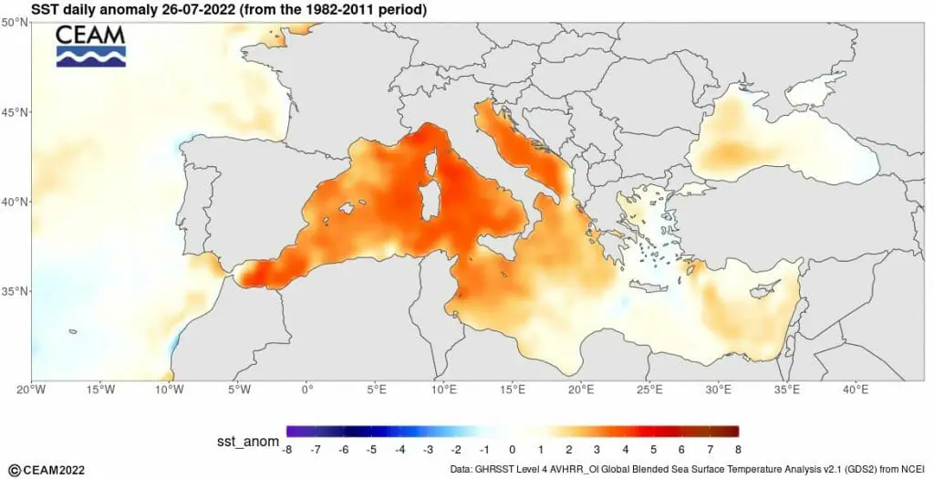 temperatura Mar Mediterráneo