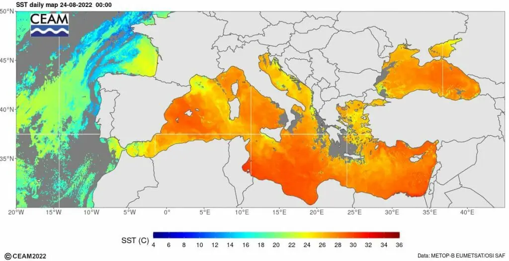 Temperatura de la superficie el mar el 24 de agosto. Las temperaturas elevadas ayudarán a que puedan darse lluvias torrenciales en el Mediterráneo