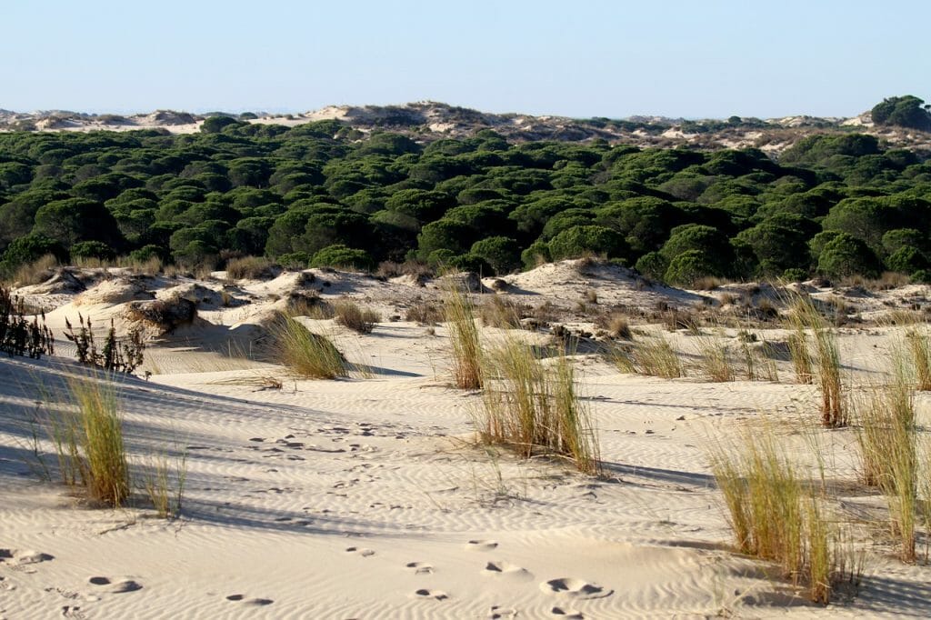biosfera