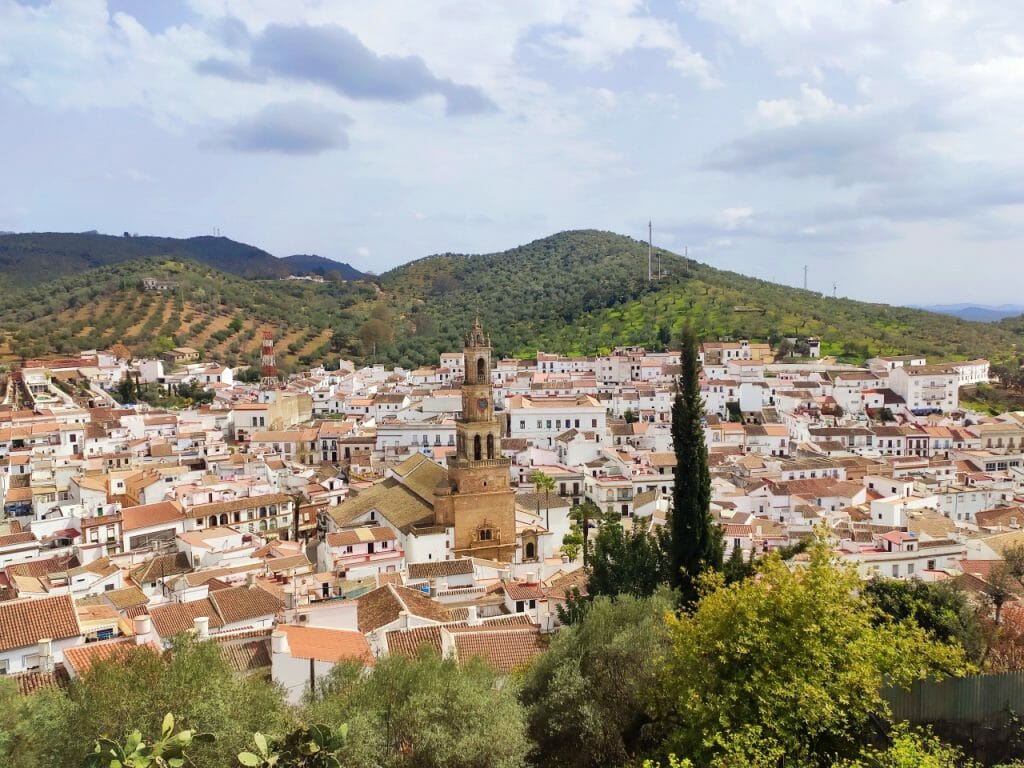 Los mejores lugares para coger setas en España | Eltiempo.es