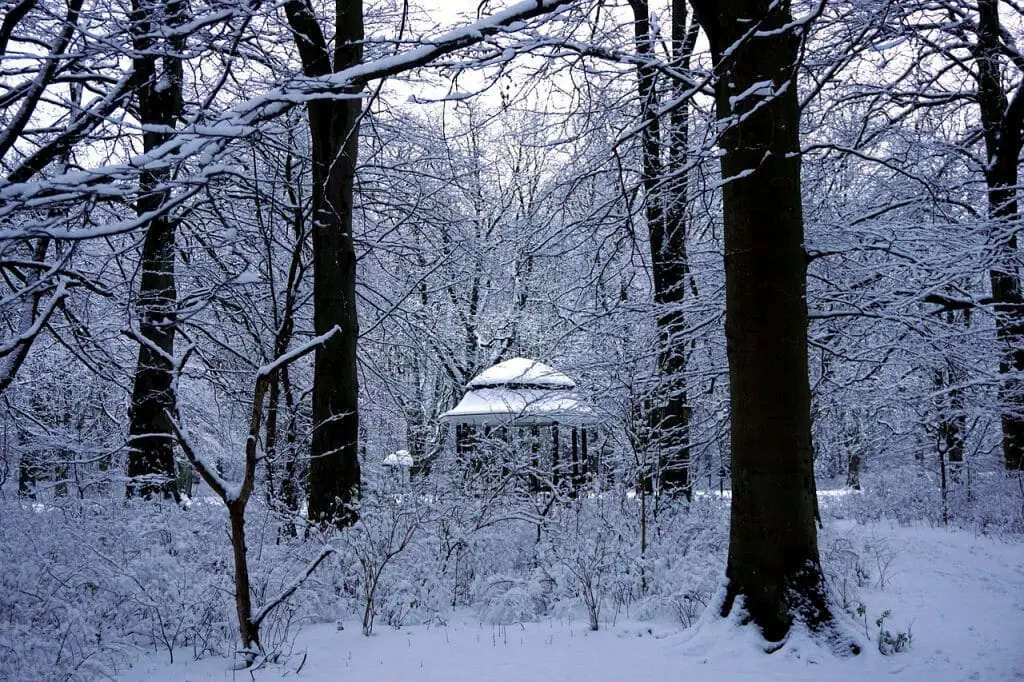 suecia malmo paisaje nevado invierno