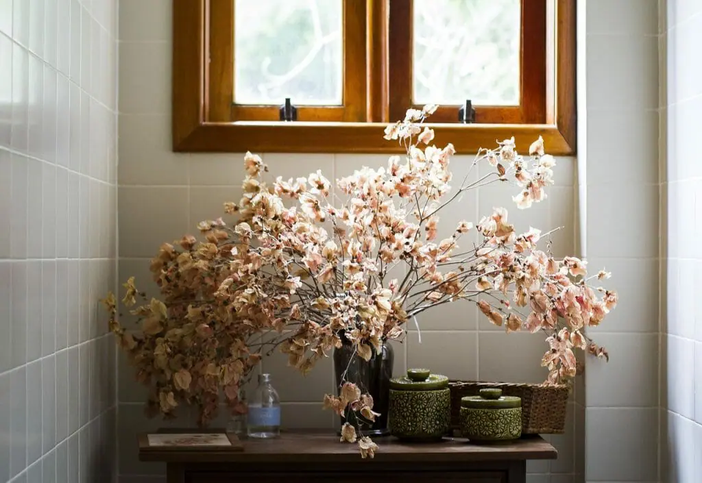 luz natural y plantas en el cuarto de baño