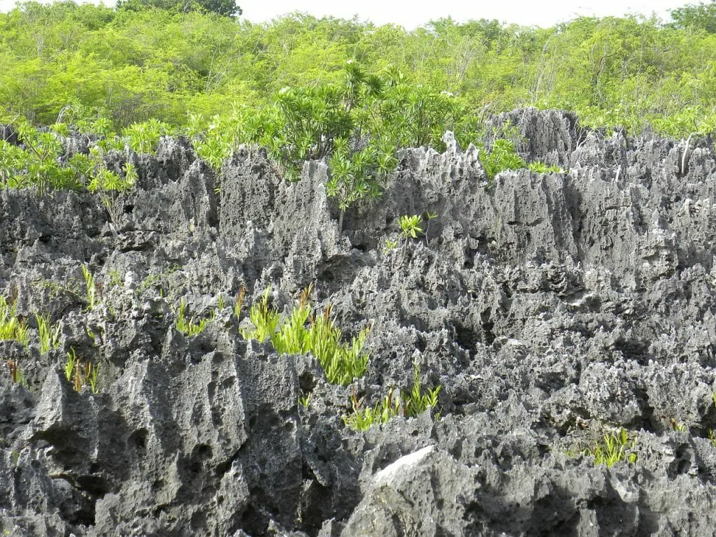 Islas Caimán paisajes