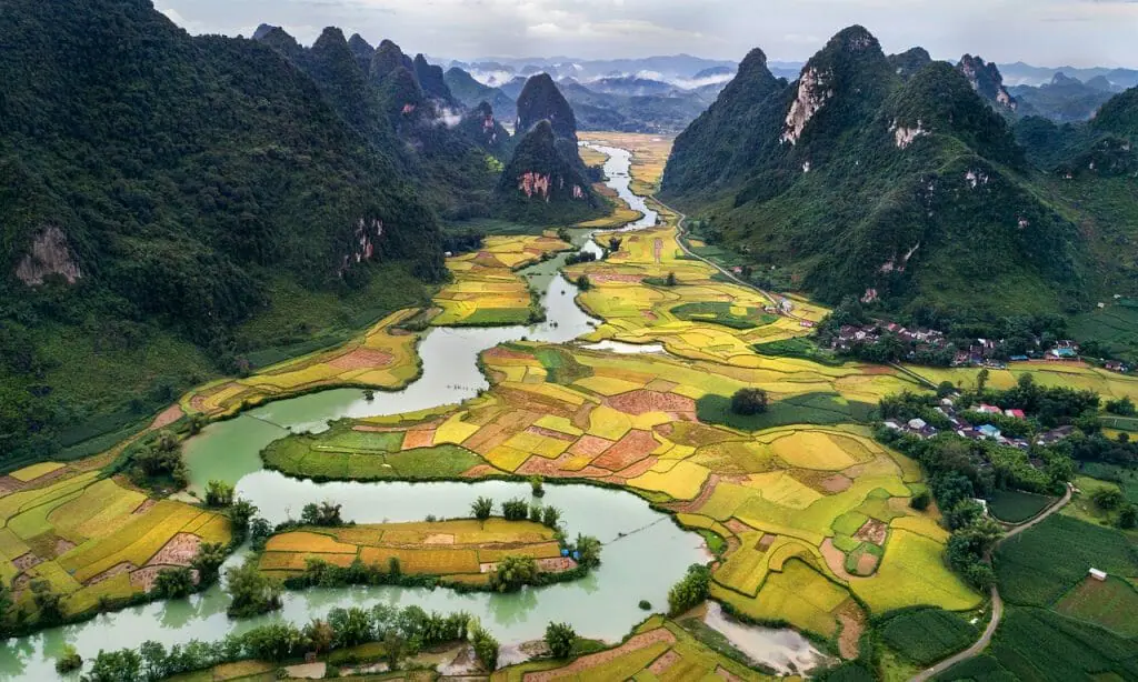 Vietnam río atravesando arrozales