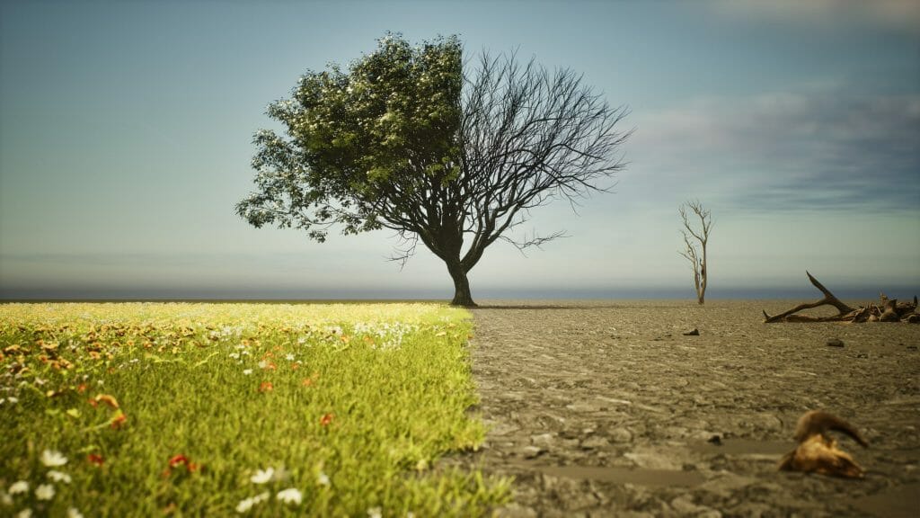 cambio climático