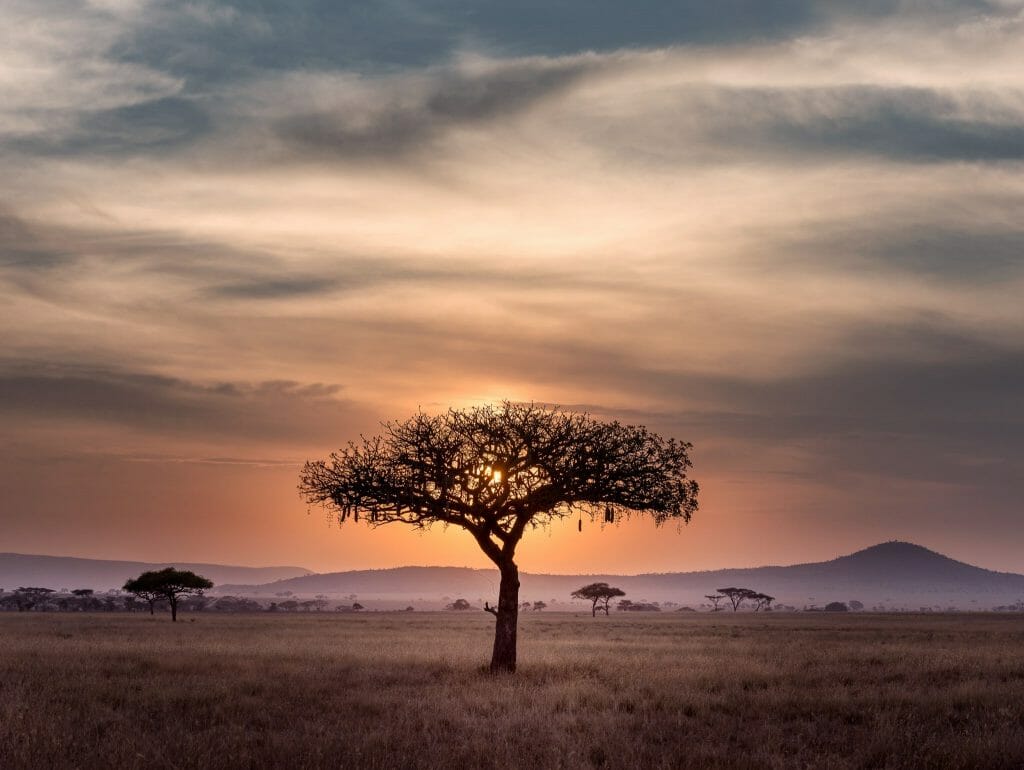 https://cdns3.eltiempo.es/eltiempo/blog/noticias/2022/11/10071951/hu-chen-60XLoOgwkfA-unsplash-1024x770.jpg