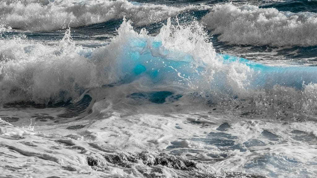 acidificación del mar