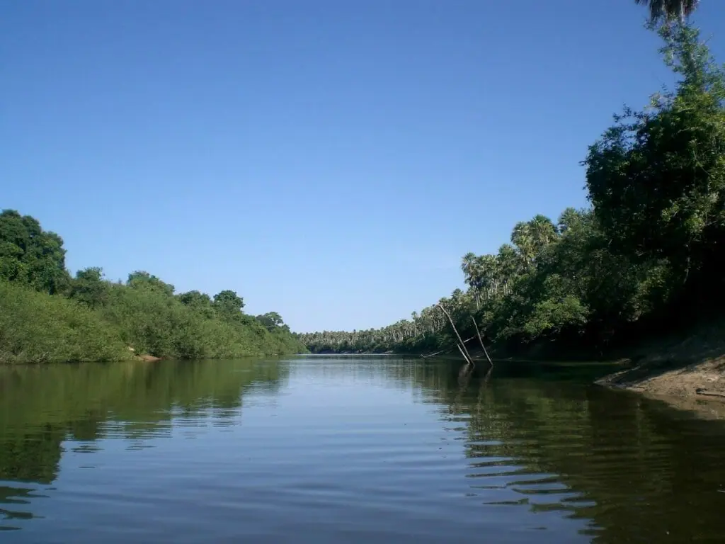 Paseo en barca en el Pantanal de Brasil