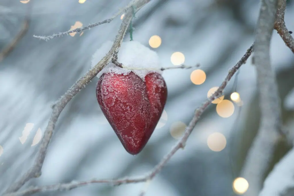 nieve frío corazón enfermerdad cardiovascular temperatura extrema