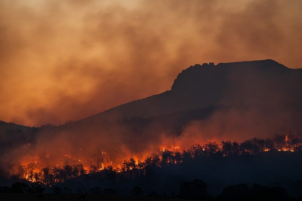 olas de calor incendios