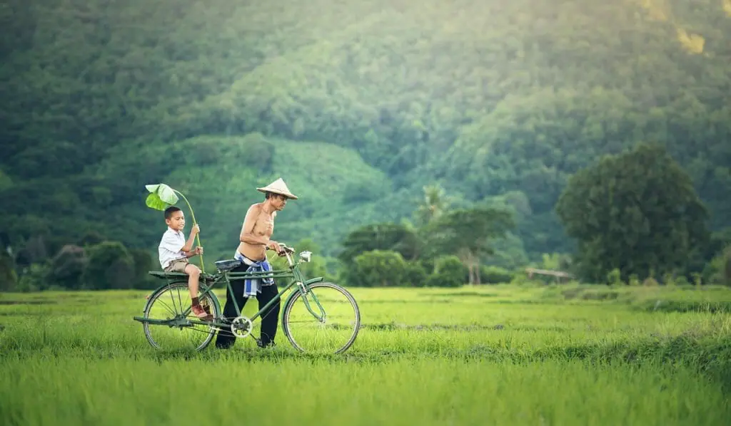 Camboya no tiene primavera: sus temperaturas oscilan entre los 30-35ºC a lo largo del año. Hay estación seca y húmeda. Imagen: Pixabay