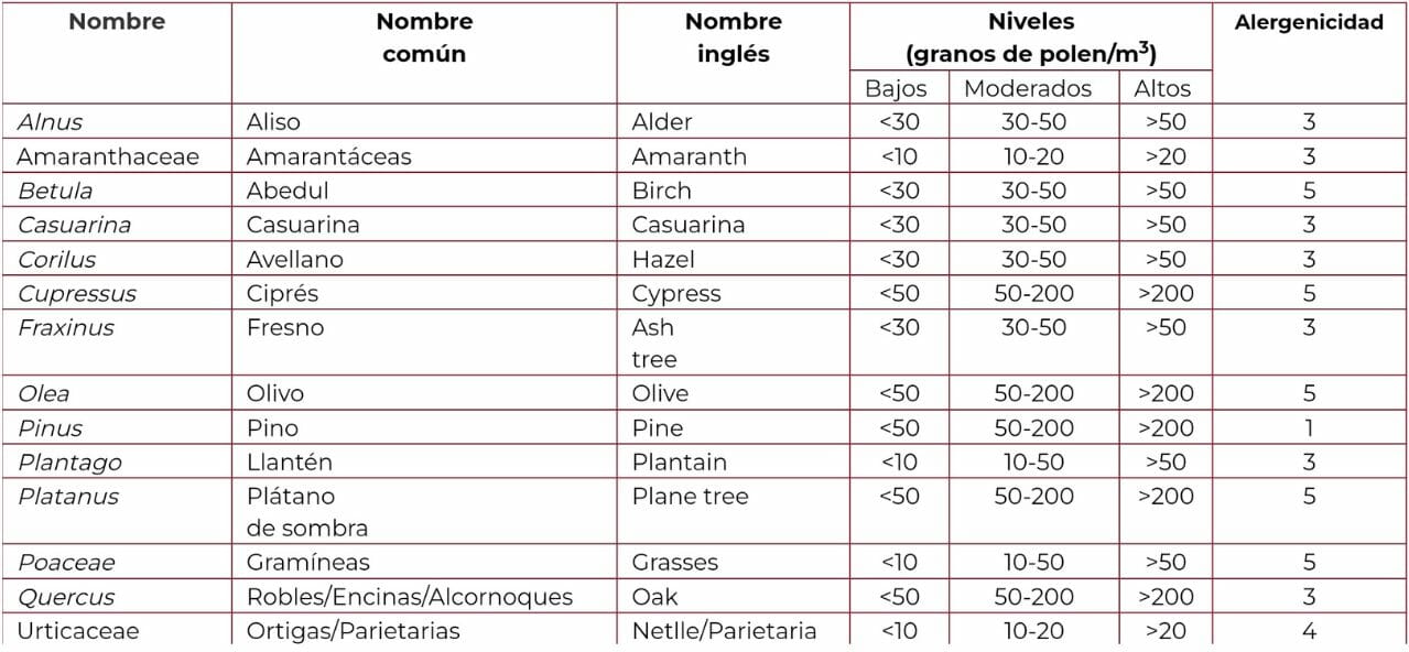 qu-es-la-alergia-al-polen-y-c-mo-minimizarla-eltiempo-es