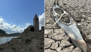 La sequía extrema descubre ruinas medievales en este pantano de Barcelona