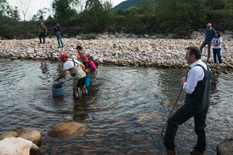 electrocutar-peces-para-salvarlos-sequia-pesca-electrica