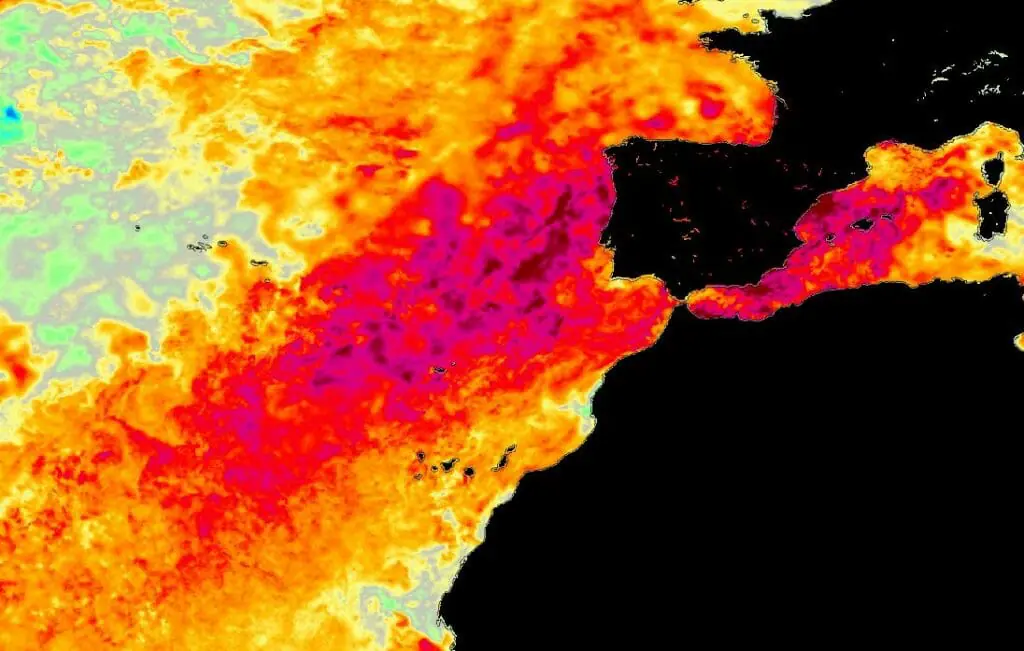 ola de calor marina en España