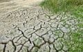 hidrofobicidad-riesgos-de-las-lluvias-en-suelos-con-sequia (2)