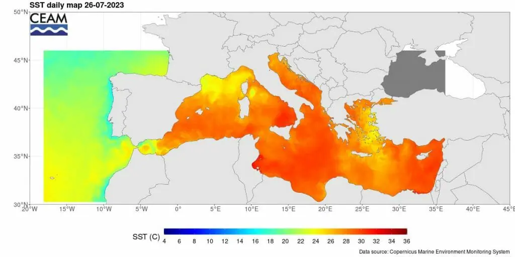 mar temperatura superficial mediterráneo