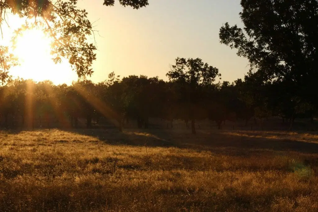 Pôr do sol no prado da Extremadura