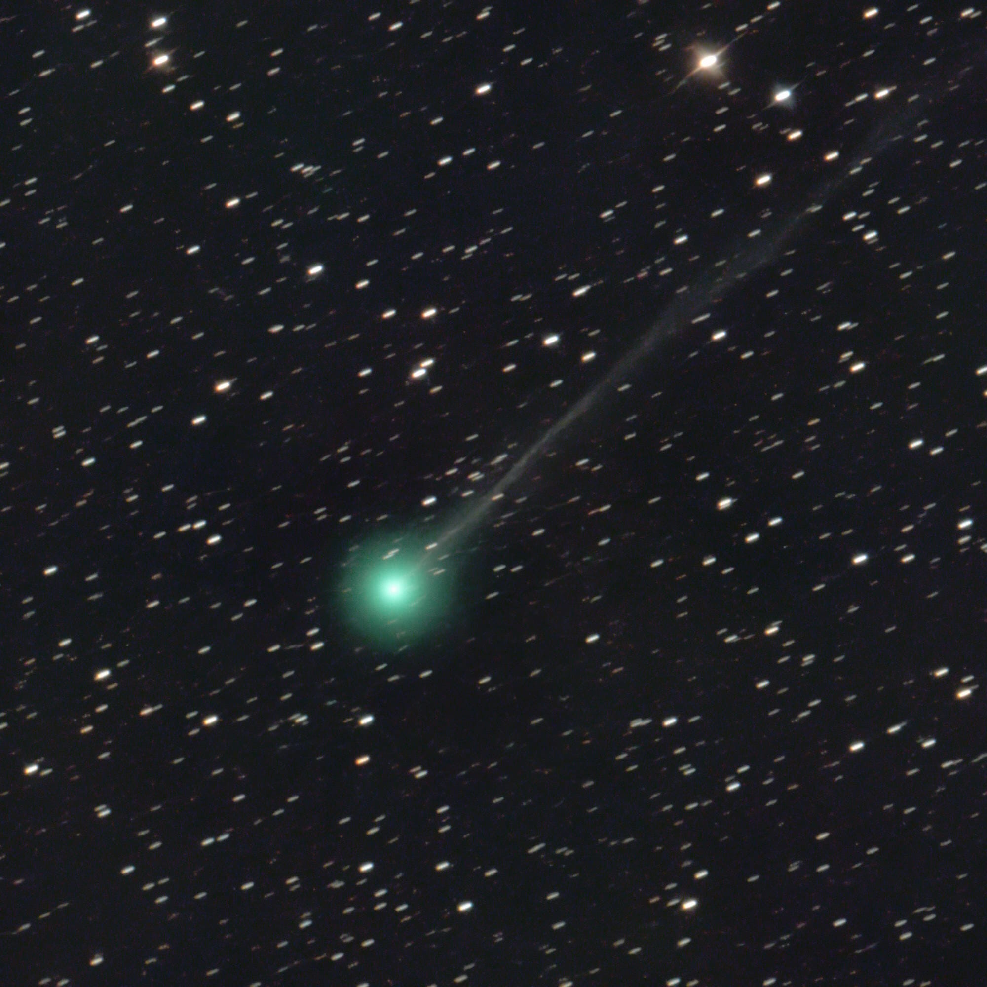 Cometa Nishimura Horario Cuándo Y Desde Dónde Ver Al Cometa Verde Eltiempoes 0587