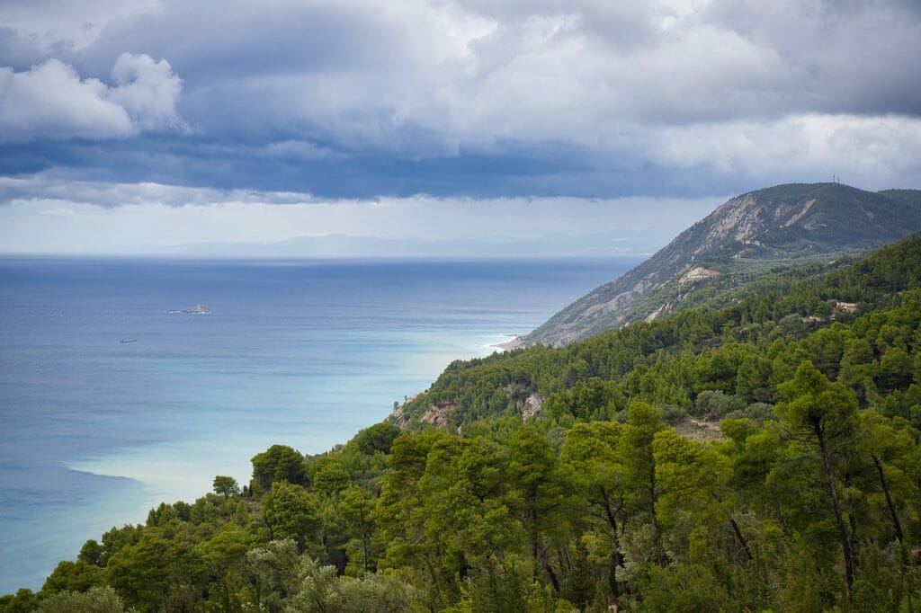 los-bosques-del-mediterraneo-entre-los-de-mayor-riesgo-de-morir-por-sequia (1)