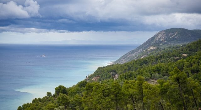 Los bosques del Mediterráneo, entre los de mayor riesgo de morir por sequía