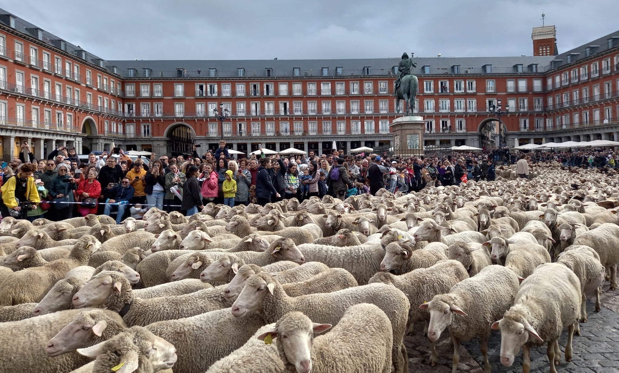 Fiesta de la Trashumancia 2023 todo lo que necesitas saber Eltiempo.es