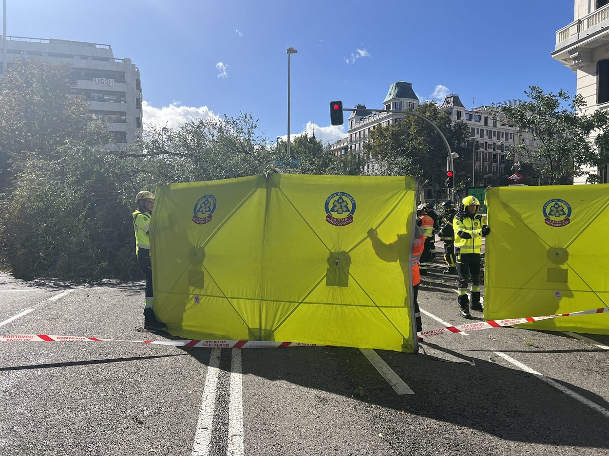 Muere Una Mujer En Madrid Tras Caerle Un Rbol En Pleno Temporal De