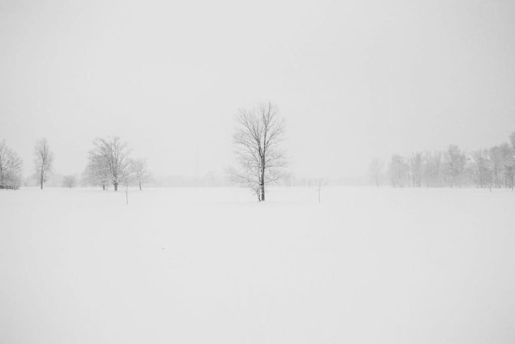 invierno 2023