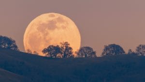 ¿Cuándo es la luna llena de marzo de 2024? Llega la «luna del gusano»