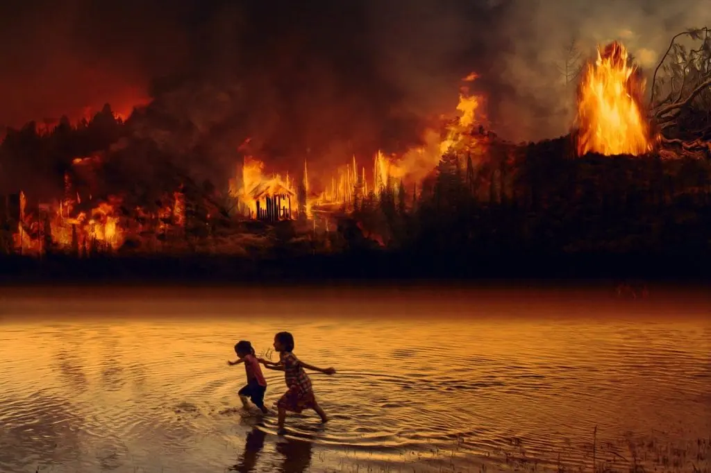 Incendio en el Amazonas