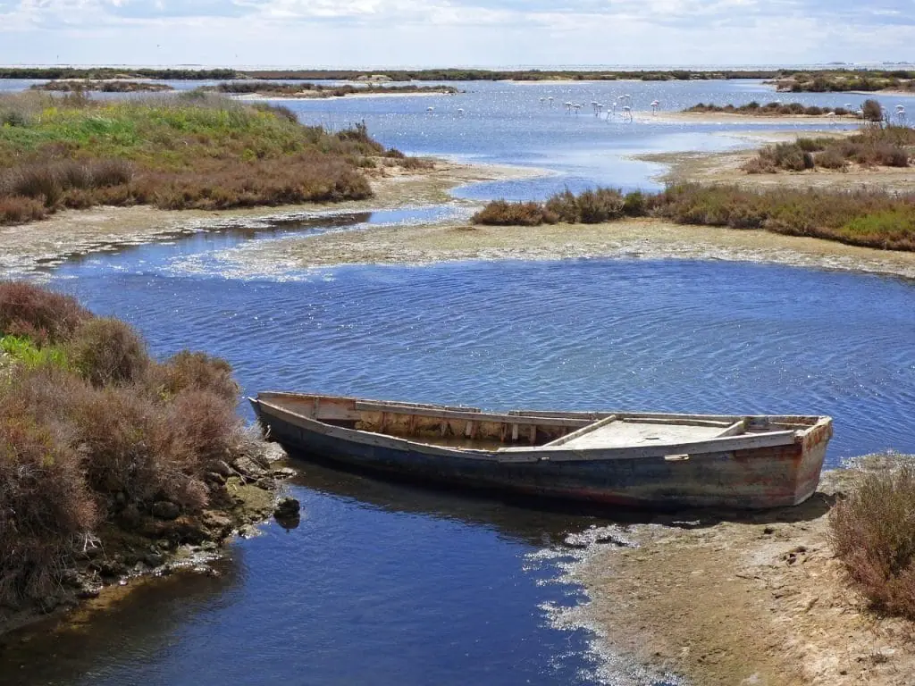Barca y flamencos en el delta del Ebro