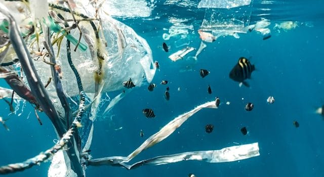 El fondo del océano es un 'depósito' de contaminación plástica