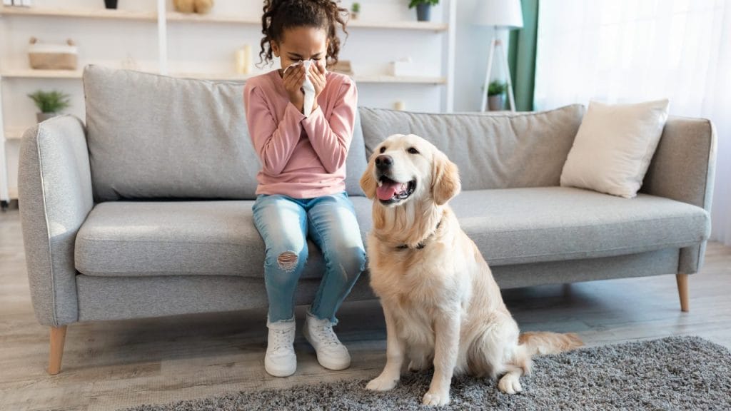Los perros y gatos son las mascotas más comunes que provocan alergias, pero otros animales, como por ejemplo los caballos, también pueden causar reacciones.